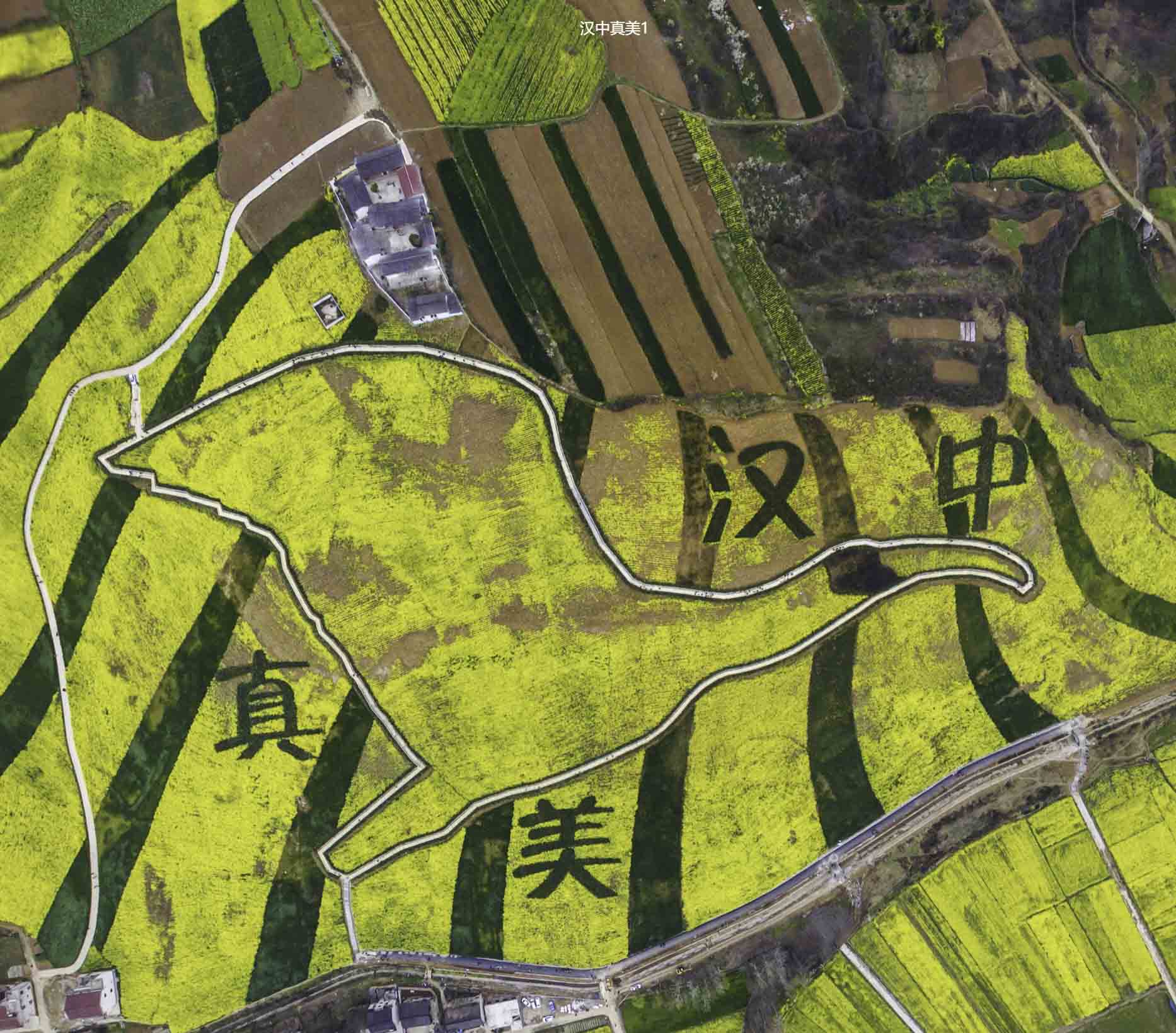 湖北VR全景拍摄中的三维建模艺术：从现实到虚拟的再现